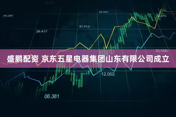 盛鹏配资 京东五星电器集团山东有限公司成立