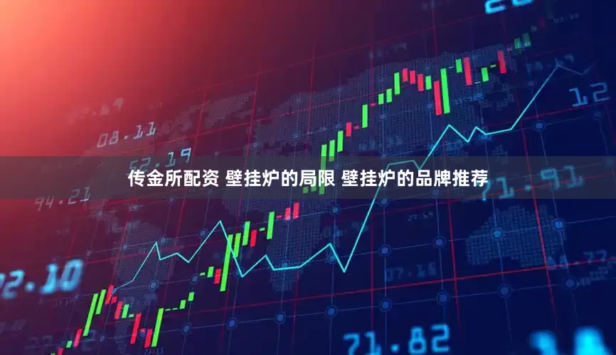 传金所配资 壁挂炉的局限 壁挂炉的品牌推荐