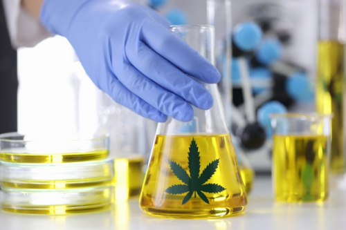 专注提升全民护肤素养 普莱滴雅PROODIY主打科学护肤成就肌肤之美