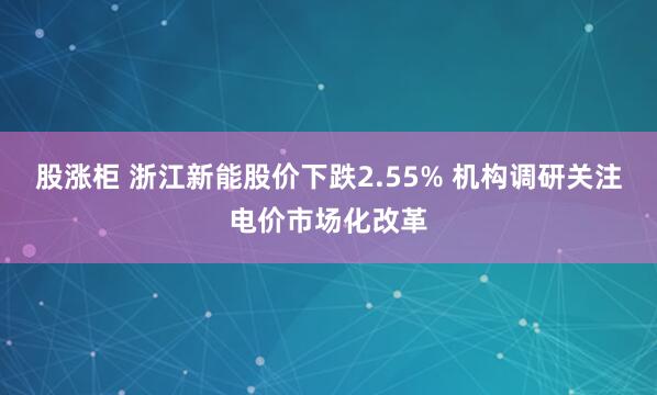 股涨柜 浙江新能股价下跌2.55% 机构调研关注电价市场化改革