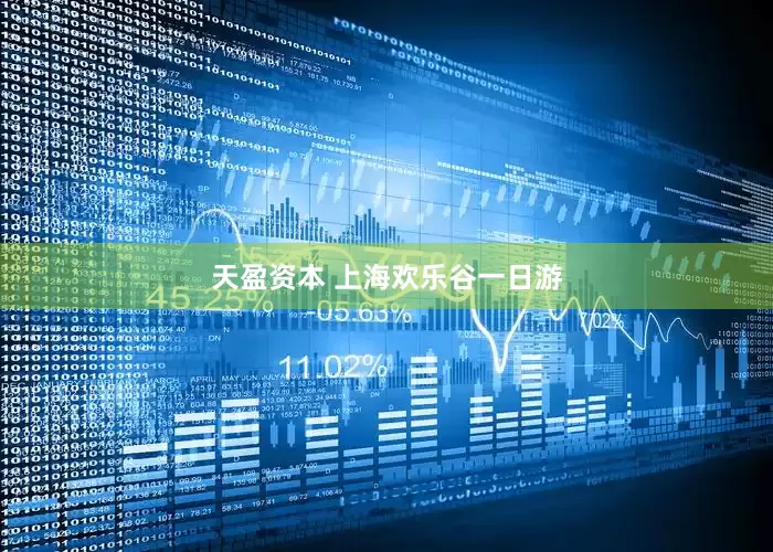 天盈资本 上海欢乐谷一日游